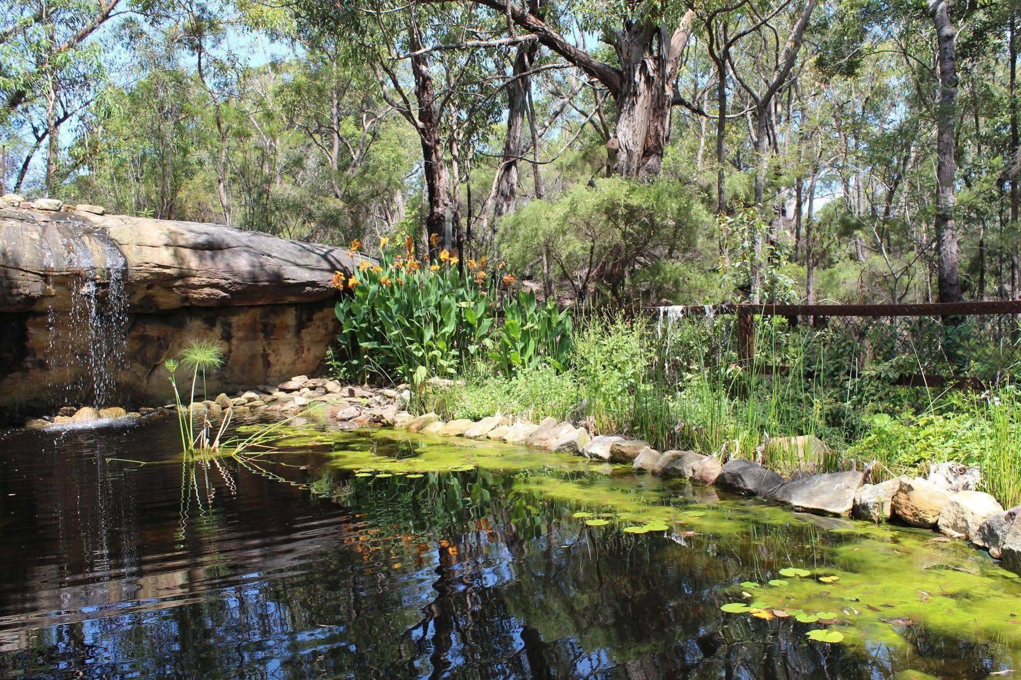 Storey Grange Springwood Luaran gambar